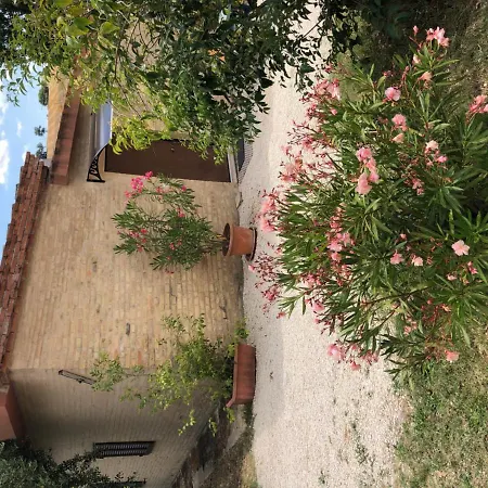 منزل ريفي La Casetta Di Campagna ريكاناتي